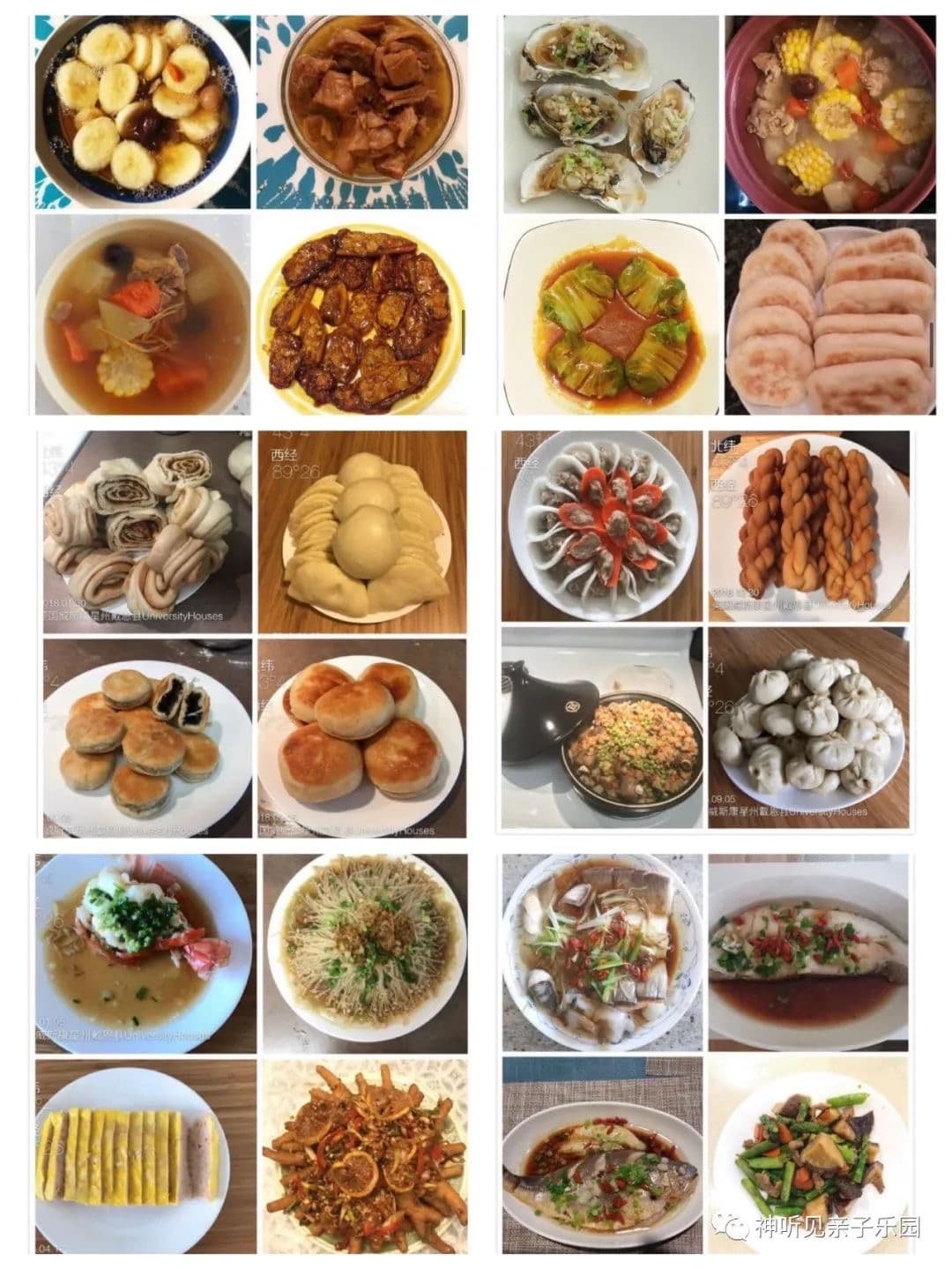 Zhu, Longyan — photo 10