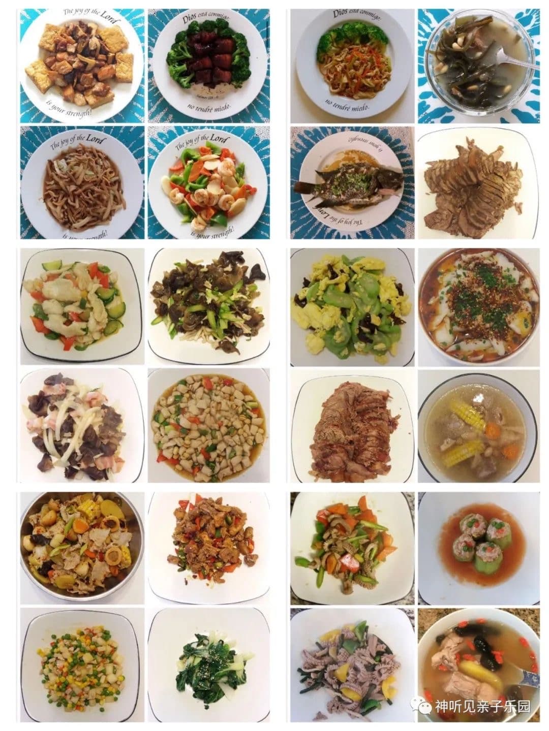 Zhu, Longyan — photo 11